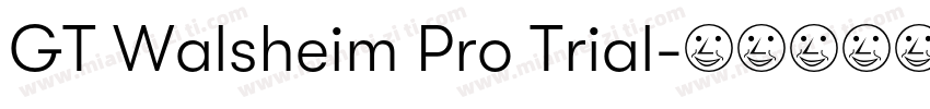 GT Walsheim Pro Trial字体转换